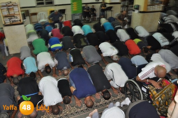 tarawee7 jablaiya (13).JPG